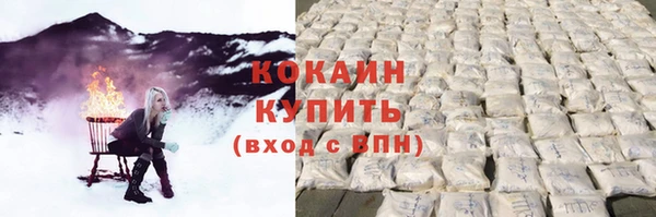 соль ск Белокуриха