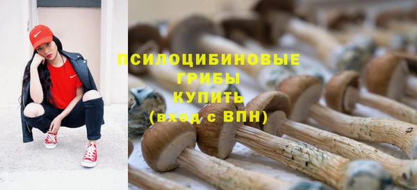 альфа пвп Беломорск