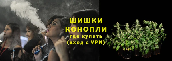 стаф Богданович