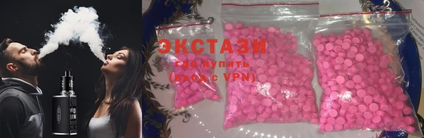 стаф Богданович