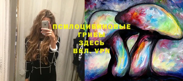 соль ск Белокуриха