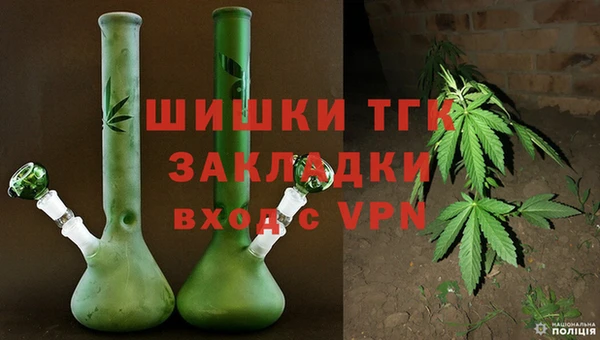 стаф Богданович