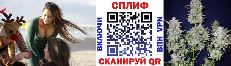 Конопля ГИДРОПОН  Бор 